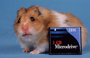 IBM 1GB Microdrive [Foto: IBM]