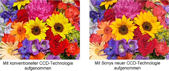 Vergleich Aufnahme mit konventioneller CCD-Technologie und Sonys neuer CCD-Technologie [Foto: Sony]