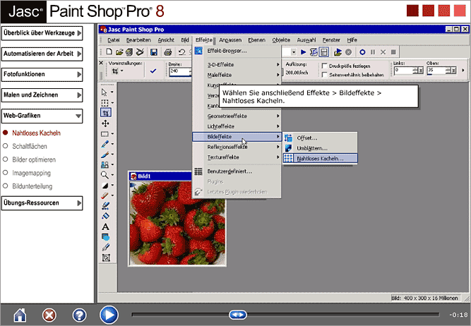 Paint Shop Pro 7.04 Crack Keygen MN-JascPaintShopPro8-LearningFilm-XL